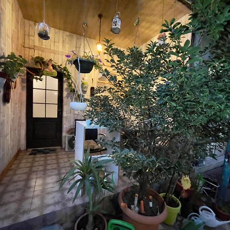 Mr Guest House Tbilisi Ngoại thất bức ảnh