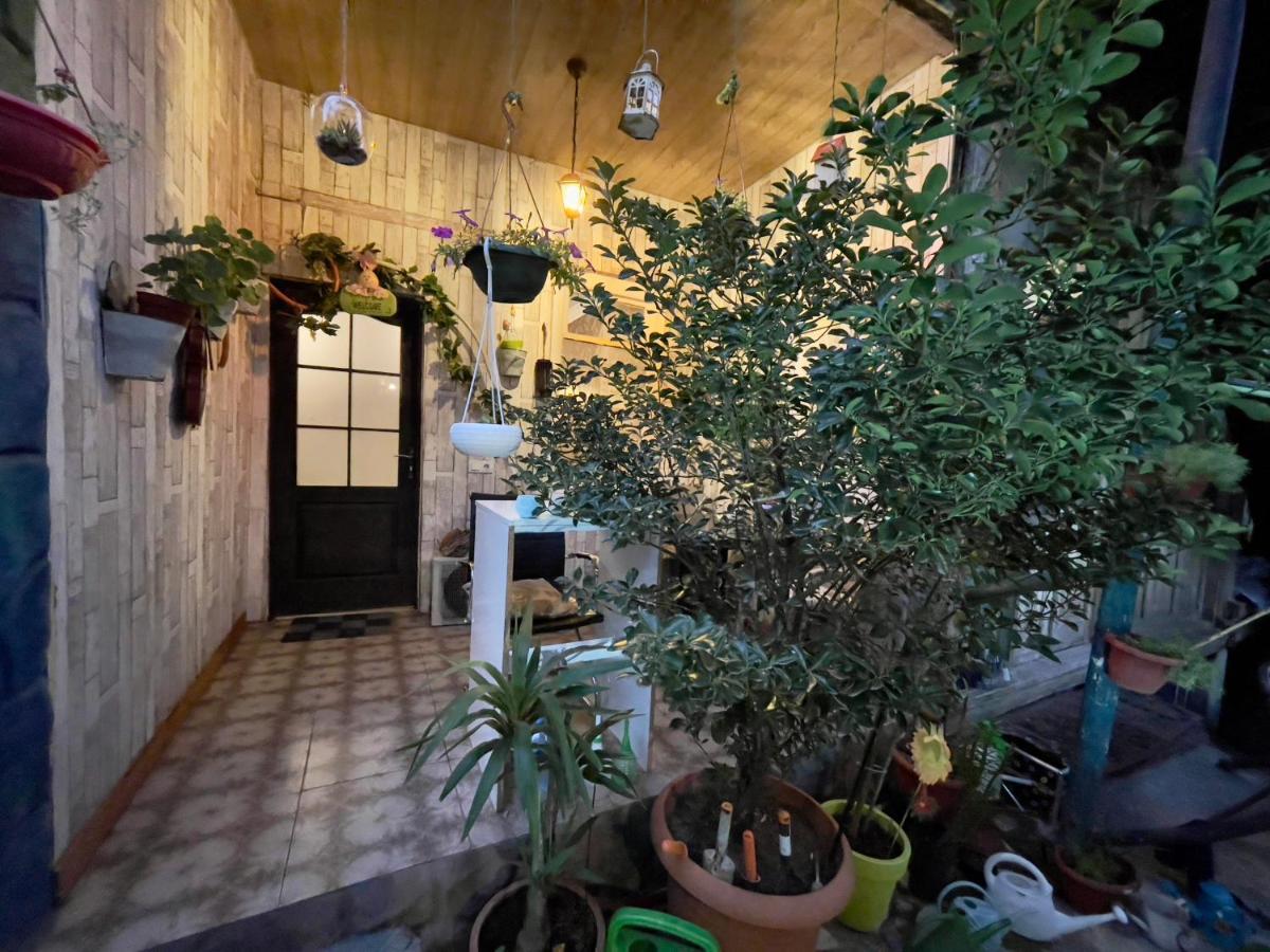 Mr Guest House Tbilisi Ngoại thất bức ảnh